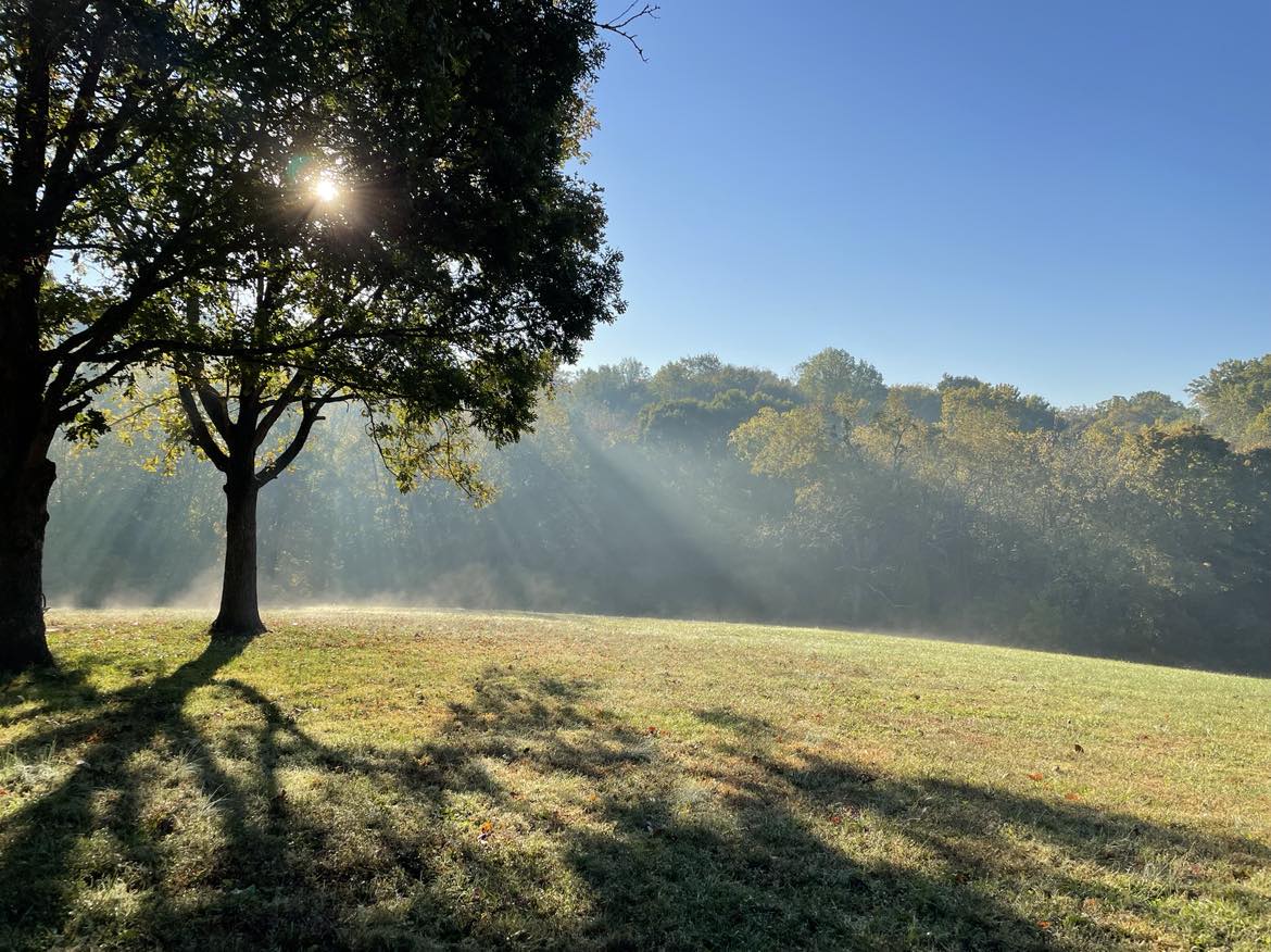 Gentle Reset……..15-minute Meditative Micro-movement Journeys