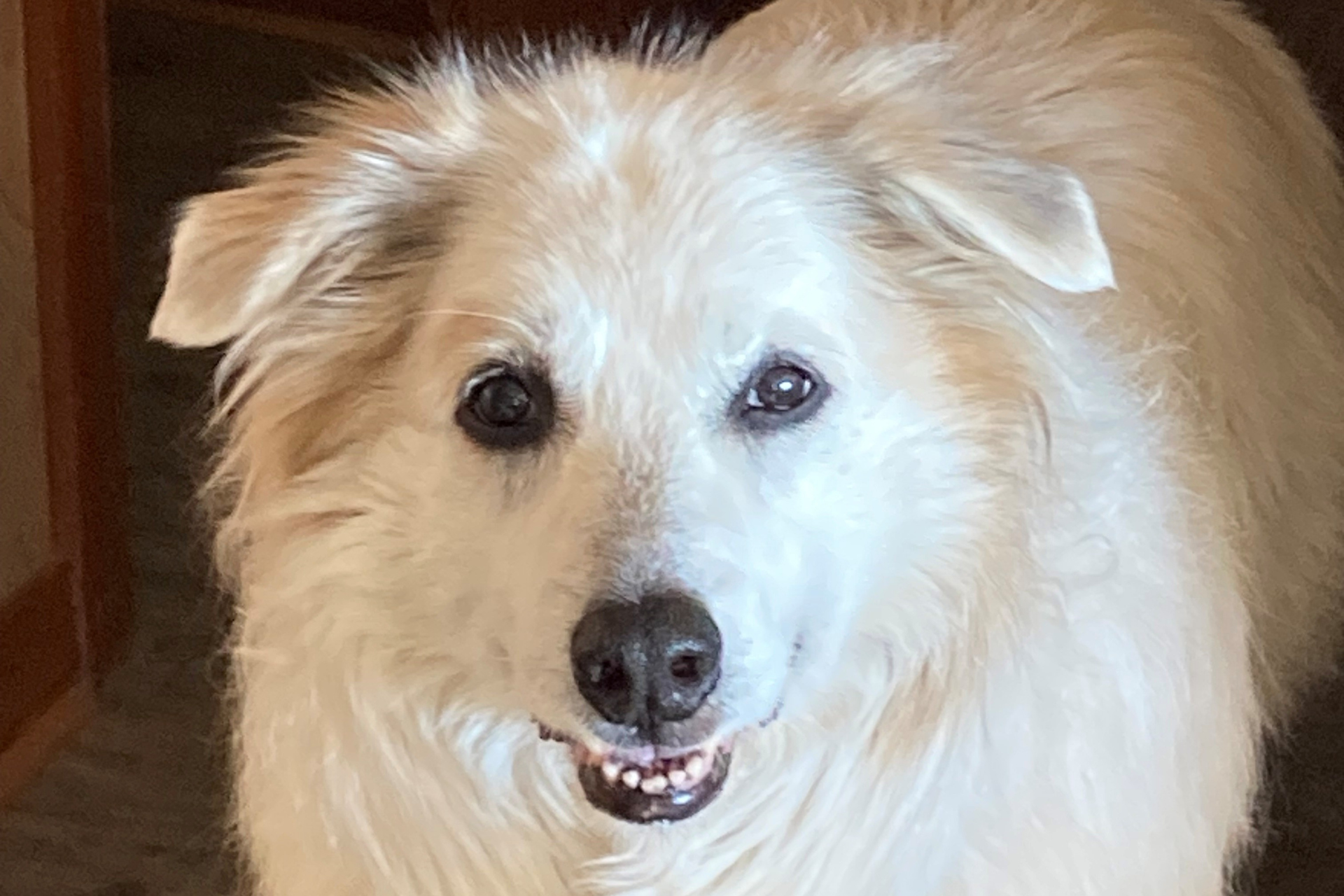 Patricia’s Salvation